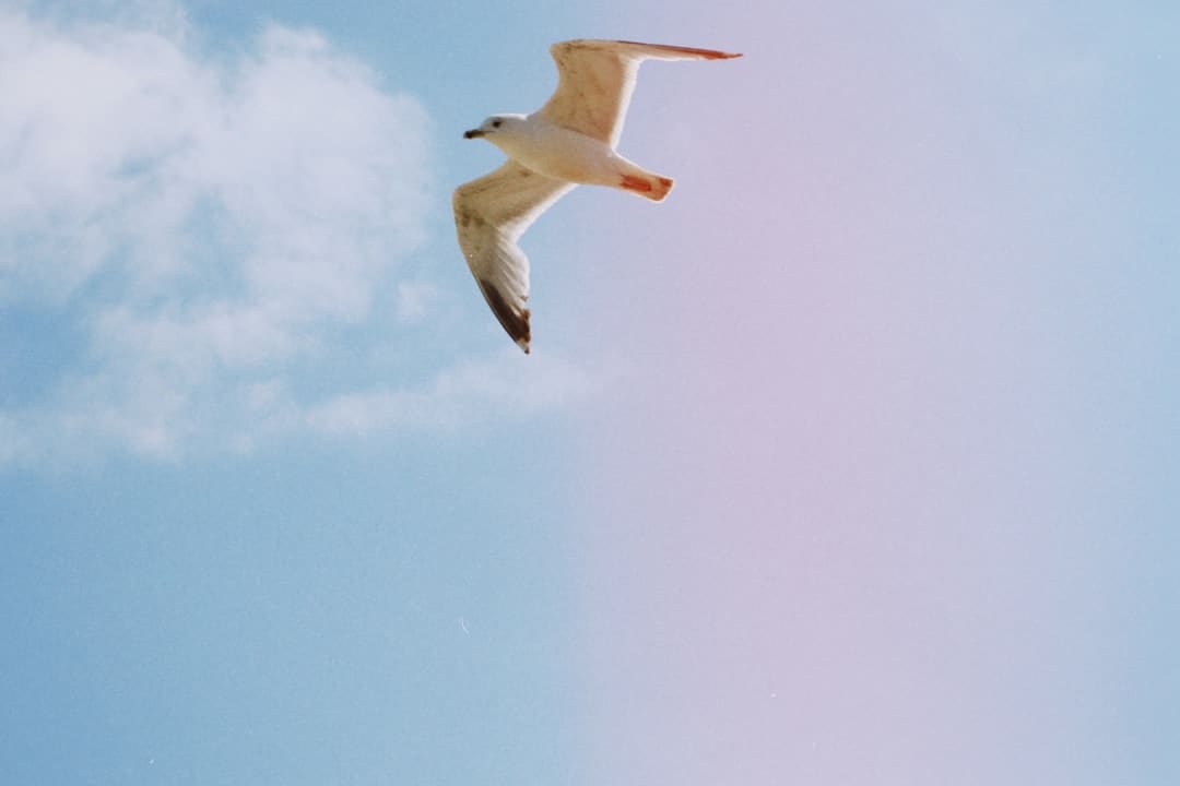 https://img1.utuku.imgcdc.com/650x0/ent/20250829/24e5fd47-7ae3-4d71-b034-af4822e2868b.jpg